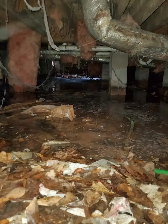 Crawl space flood assessment for Leak Detection & Repair in Trussville
